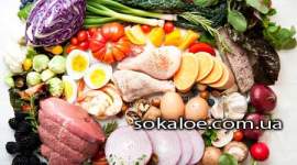 Shhelochnaja-dieta-polza-i-vred